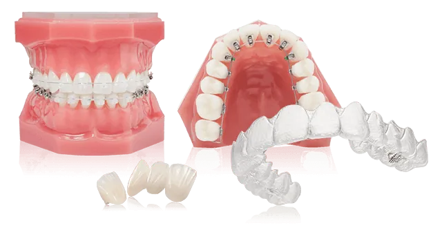 矯正歯科・歯列矯正のページへ戻る